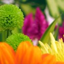 대신행정사사무소 이미지