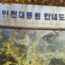 인천대공원(남문) Daum카페
