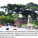 [영도] 법융사, 태종사 수국 트레킹 후기---2026년 6월 26일(금)