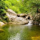 금자네펜션 이미지