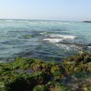 자장면시키신분 이미지