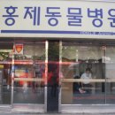 통일로 동물병원 이미지