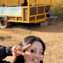 살롱드누스