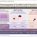 [학술정보] BioNTech/Pfizer 의 BNT162b2 코로나-19 백신 임상연구에 대해서 이미지