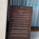 선셋티아 이미지