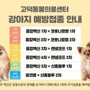 고덕 동물의료센터 네이버블로그