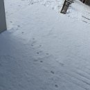 스테이사계:온 이미지