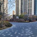 대전도마초교 이미지