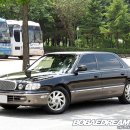 다이너스티 이미지