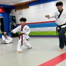 용인대 소나무향기 태권도장 | 용인대소나무향기태권도장...아이들이 집을 가지 않으려 합니다