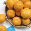 멍박스 | 낭트멍감귤 고당도 타이벡 효돈감귤 5KG, 역대급 당도에 반한 솔직 후기