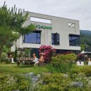 소나무미술교습소