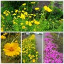 성산점 기아오토큐 이미지