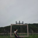 도담정원 | 단양 도담정원 꽃구경 후기