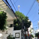 일월초 | 나트랑 젤네일 자석젤 맛집 달네일(내돈내산)