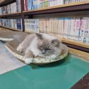 합성동272 이미지