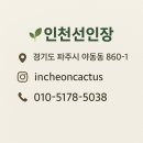 백호조경 네이버블로그