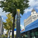 베리굿 | W0.웨딩플래너 계약하기 / 베리굿웨딩 계약 후기