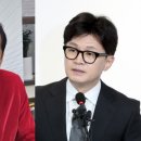 홍준표, 한동훈 향해 “깜도 안되는 초짜…셀카 찍던 것만 기억나” 이미지