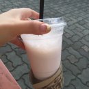 라운지스넥