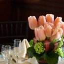 바른손한의원 이미지