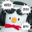 느낌있는 걸 이미지