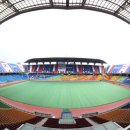 도도버드 이미지