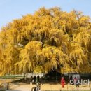 장수서창동-13 이미지