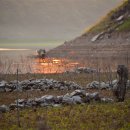 이심전심 이미지