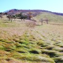 백두축산 이미지