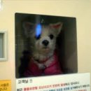 송파바로동물병원 이미지