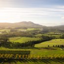 엘진산업 이미지