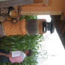 남일우체국 이미지