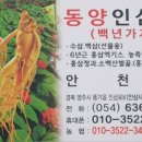 풍기 홍삼 건강원