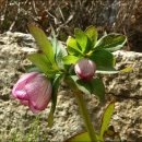 수원-2010 이미지