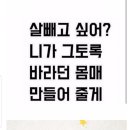 즐거운점핑다이어트 네이버블로그