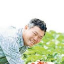 종일농원 이미지