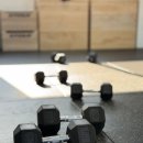 크로스핏 루스터 이미지