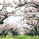 무석 농장 이미지