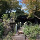 선구목장 이미지