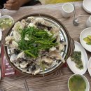 생아구랑 대구랑 이미지