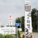 제주하영