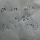 박영호농장 Daum카페