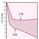 기억과 기억 이미지