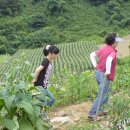 고운 농장 이미지