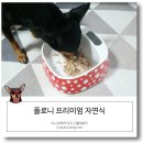 나샘 | 강아지 자연식, 나샘 플로니 오리고기 후기