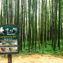 담양죽녹원국수 이미지