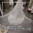 웨딩" 아이리스 드레스 본식 가봉 후기 /규수당 드레스.규수당 홀 연계 스드메/본식 후기/드레스투어