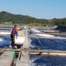 영심이네 이미지