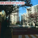 부산광역시 영도구 와치로 이미지